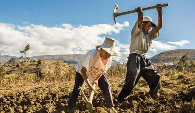 Agricultores de Cusco molestos por cambio de cita. Foto: La República