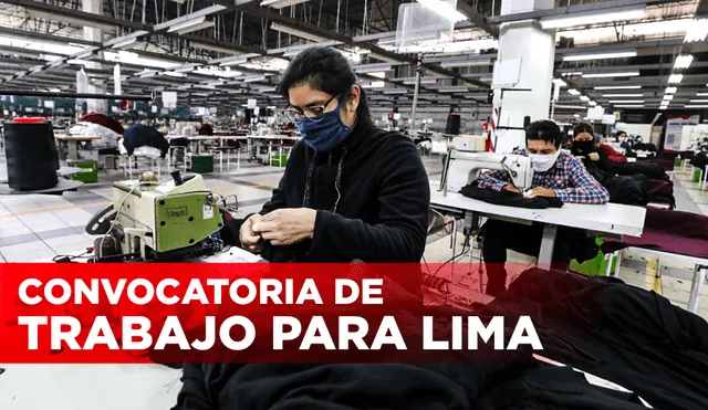 La remuneración económica también varía, según la institución, pero el sueldo máximo es de 9.000 soles. Foto: composición de Jazmin Ceras/Andina