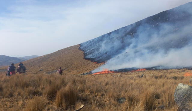 Incendio forestal deja sin vida a una persona en Apurímac. Foto: Municipalidad Coyllurqui