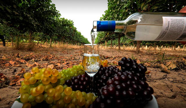 Exportaciones de pisco crecieron 77% y sumaron US$ 6,2 millones hasta agosto. Foto: Andina