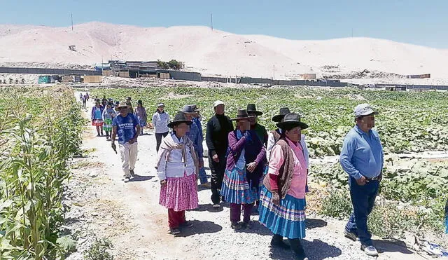 Consultas. Los agricultores que tengan dudas sobre el apoyo monetario, y no puedan acceder a internet, pueden llamar a la línea gratuita 0800-74006. Foto: La República