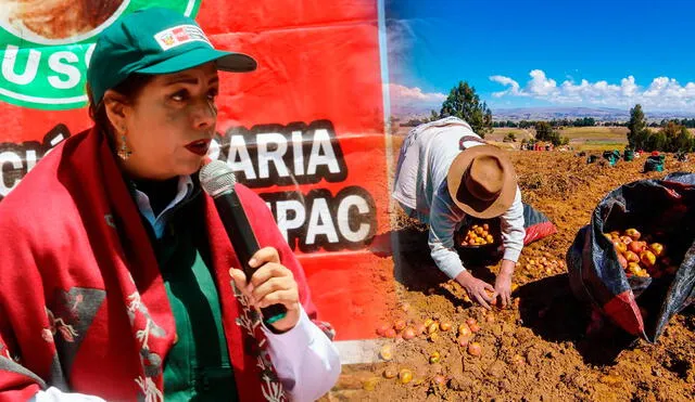 Patricia Ocampo, titular del Midagri, afirmó que esta semana espera entregar la buena pro de la compra de urea. Foto: composición LR / Midagri