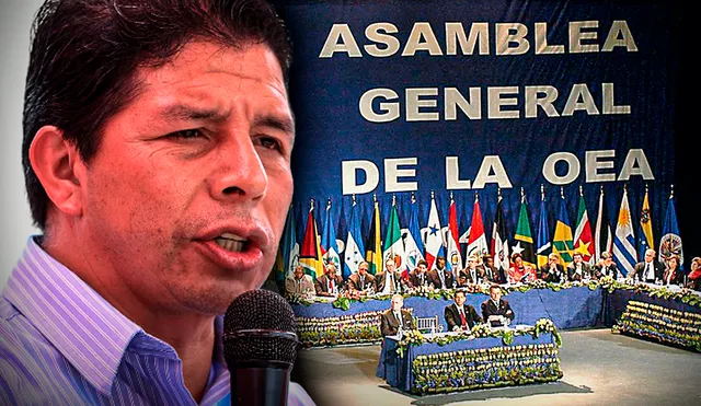 Pedro Castillo solicitó a la OEA que se active la Carta Democrática. Foto: composición Gerson Cardoso/La República