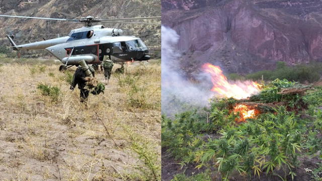 Vraem: en operativo de la policía se halló casi medio millón de marihuana y un laboratorio para producción a gran escala. Foto: composición LR/PNP