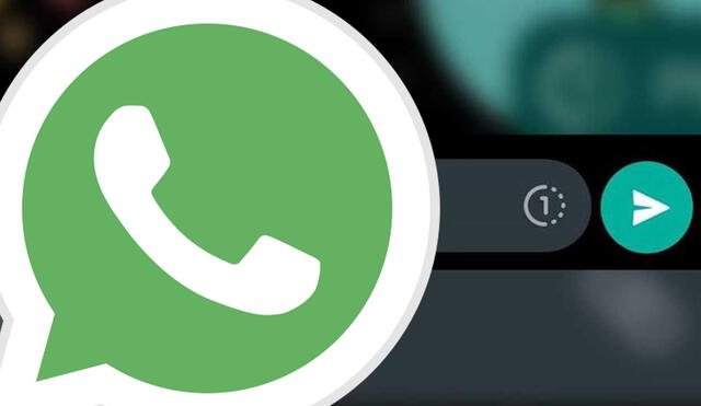 Este truco de WhatsApp funciona en iOS y Android. Foto: composición Flaticon