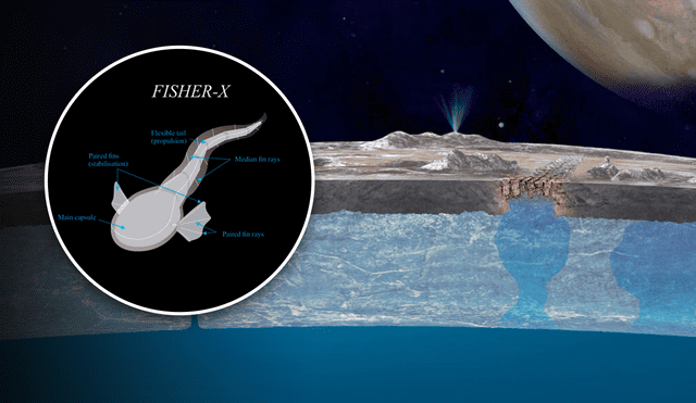 El robot pez peruano Fisher-X podría explorar el océano de Europa en una futura misión espacial. Imagen: UCSUR / NASA / Composición