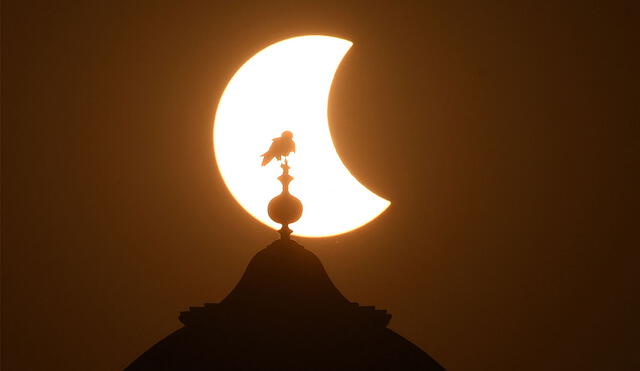 Un ave reposa sobre una cúpula durante el eclipse solar de hoy, 25 de octubre de 2022, en Lahore, Pakistán. Foto: AFP