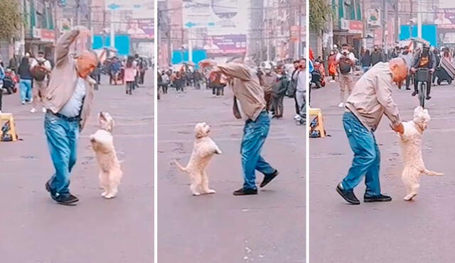 Una transeúnte se detuvo en medio de la calle para apreciar el espectáculo protagonizado por un artista y su mascota. Foto: composición LR/TikTok/@marysolcarrillobe