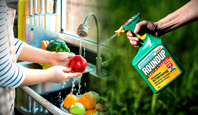 Te brindamos diferentes métodos para retirar los químicos de tus alimentos. Foto: composición LR/ El Mundo/ The New York Times