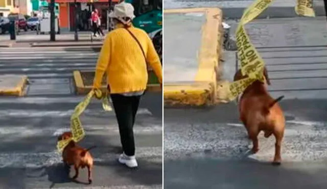 La divertida escena no pasó desapercibida y se hizo viral en redes sociales. Foto: composición LR/TikTok