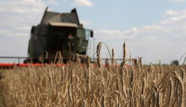El acuerdo para la exportación de granos fue alcanzado el 22 de julio y se extendía, en principio, hasta mediados de noviembre. Foto: AFP