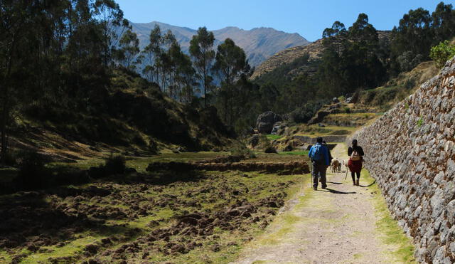 Paisaje Arqueológico Camino Inca. Foto: Andina