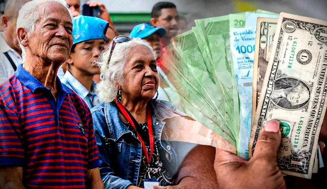 ¡Pronto iniciará la pensión IVSS septiembre 2023 en Venezuela! Revisa AQUÍ los detalles. Foto: composición LR/El Sumario/Infobae