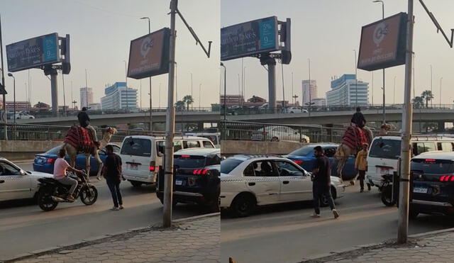 Este hecho sucedió en El Cairo. Foto: composición LR/TikTok/@enescalas12