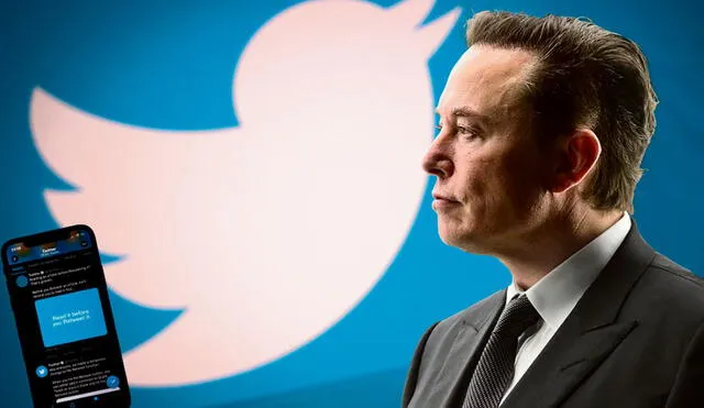 En marzo de este año, Musk estimó que Twitter había perdido casi la mitad de su valor. Foto: AFP