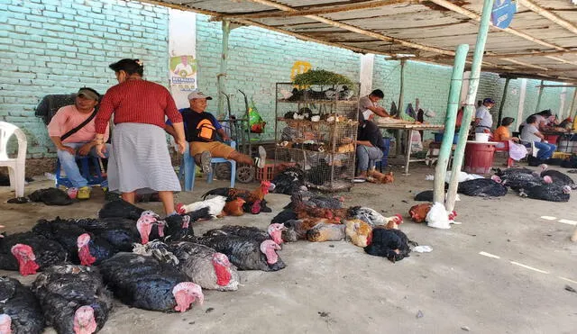 Comerciantes advierten disminución de ventas de aves de corral. Foto: Almendra Ruesta