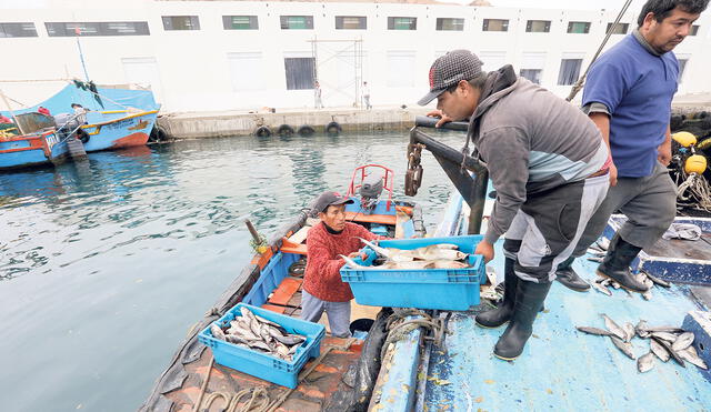 Son 47.500 pescadores artesanales beneficiados con el bono de S/700. Foto: La República