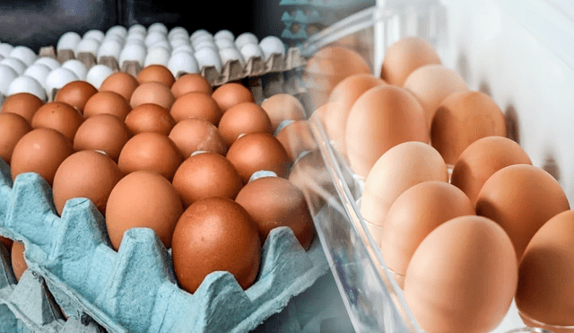 Gremio avícola advierte posible competencia desleal de venta de huevos en el mercado nacional. Foto: composición LR/Infobae/Antena