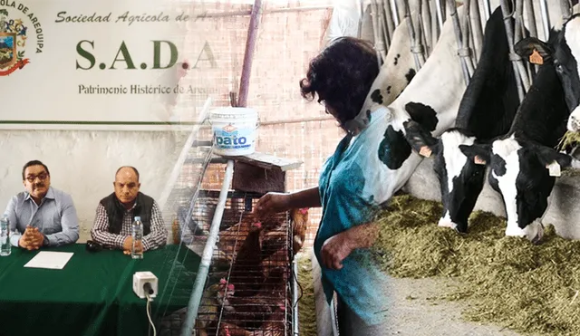 Representantes de avícolas y ganaderos piden ingresar insumos de Bolivia