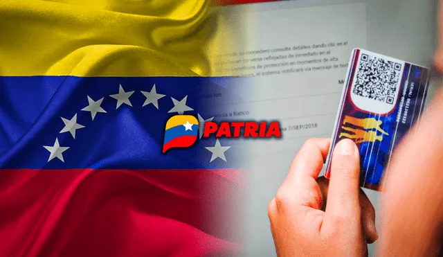 Bonos de la Patria: ¿cómo actualizar mis datos laborales y evitar perder los subsidios?