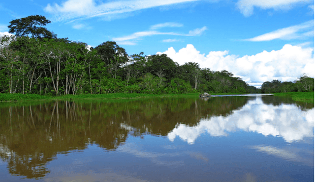 El río Amazonas estaría contaminado con petróleo. Foto: Freepik