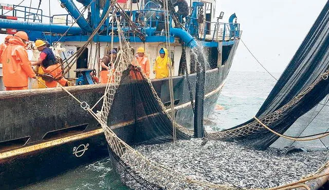 Beneficio. En 2022 ya se perdonaron más de S/270 millones en multas, según Oceana Perú. Foto: difusión