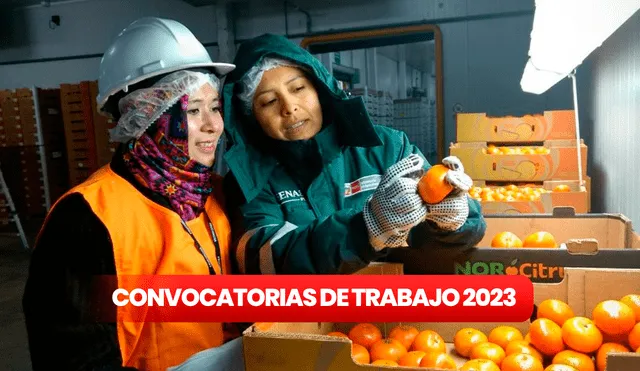 Convocatoria de trabajo 2023: Senasa ofrece puestos de trabajo en cuatro regiones. Foto: composición LR/Senasa