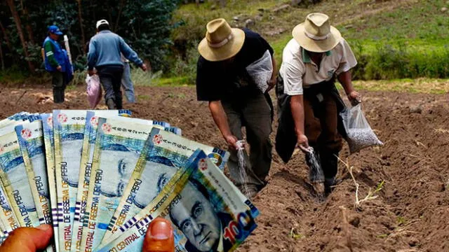 Trabajadores agrícolas podrán recibir un subsidio debido a las pérdidas ocasionadas por la escasez de fertilizantes. Foto: Convocatorias
