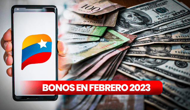 ¿Qué bono de la Patria te tocaría recibir en febrero? Revisa los subsidios que serían entregados por la Plataforma. Foto: composición LR/Freepik/Sistema Patria/Thomas Coex/AFP