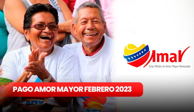 El bono Amor Mayor beneficia a miles de adultos mayores cada mes en Venezuela. Foto: composición de Fabrizio Oviedo / La República / PSUV / Vicesocial