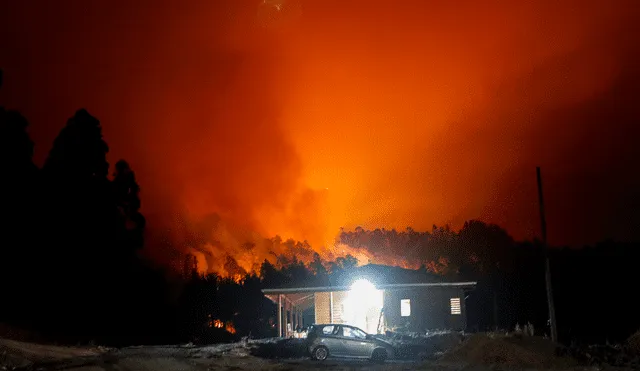 Los incendios en Chile han dejado más de 100 viviendas afectadas y 45.000 hectáreas de bosque destruidas. Foto: AFP