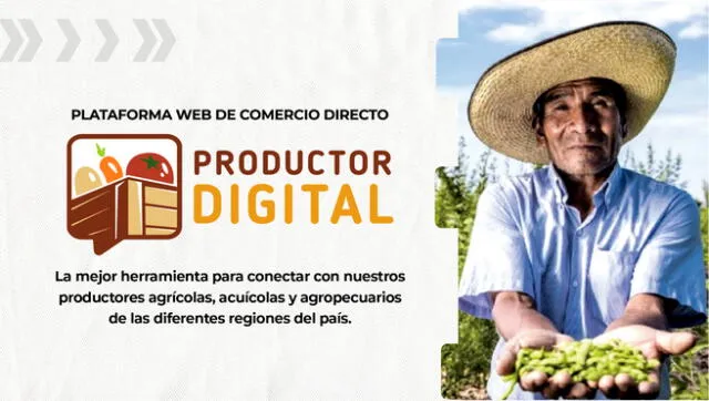 Nueva plataforma permitirá comercio virtual entre compradores y productores agrícolas. Foto: Produce