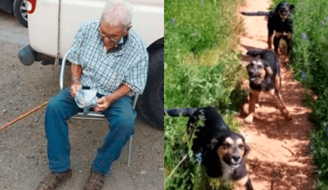 Héctor Urrea perdió todos sus bienes en el incendio. Foto: BioBioChile