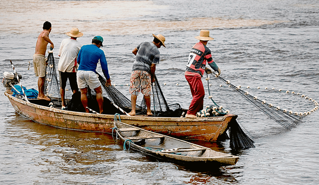 Beneficio. Los pescadores artesanales recibirán un subsidio. Foto: difusión