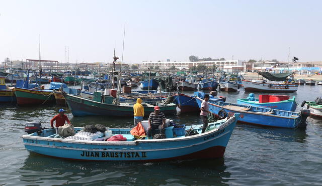 Bono busca llegar a 36.771 pescadores artesanales. Foto: Andina