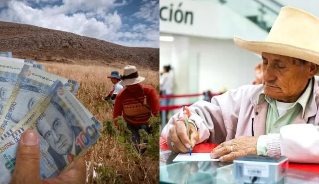 Más de 200.000 agricultores, ganaderos y productores se beneficiarán del bono sequía 2023 / Composición LR/Foto: Andina
