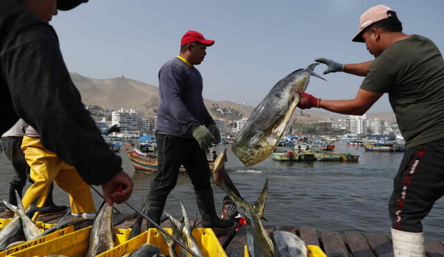 Gobierno otorgará subvención de S/500 a cada usuario, teniendo como presupuesto un total de S/18,8 millones. Foto: Andina