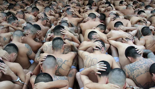 Pandilleros con las cabezas rapadas recluidos en una cárcel de El Salvador. Foto: La República