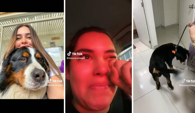 El video ha sumado más de dos millones de visualizaciones en TikTok. Foto: composición LR/captura de TikTok/@lissyverasteggui