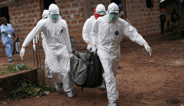 El virus de Marburgo es casi tan letal como el temido ébola. Foto: referencial / DPA