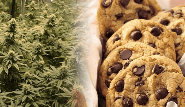 La mujer pretendía ingresar la galletas con marihuana al centro de reclusión. Foto: semillaslowcost.com