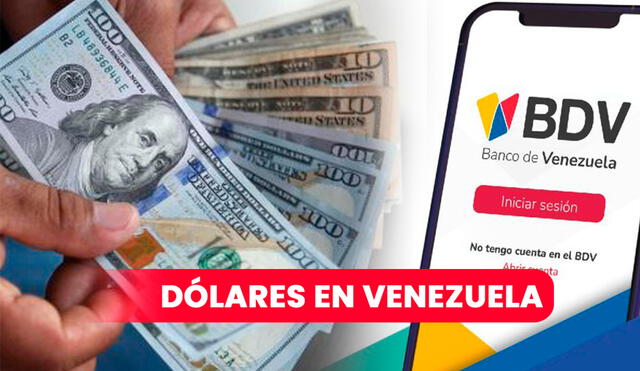 En el Banco de Venezuela se pueden comprar y vender dólares. Foto: composición LR / Morocotacoin / Banco de Venezuela