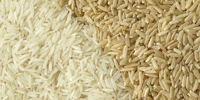 Perú es primer productor de arroz en la Comunidad Andina, siguiéndole en importancia Colombia y más abajo Ecuador y Bolivia. Foto: Shutterstock