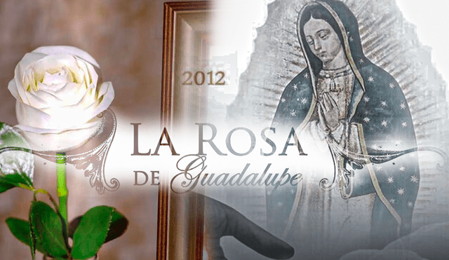 90 60 90  La Rosa de Guadalupe 