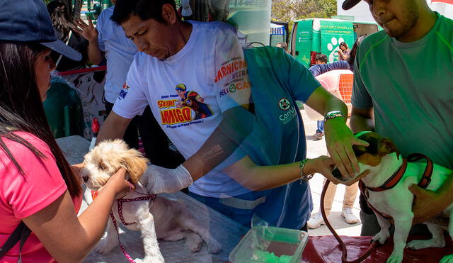 Campaña veterinaria durará 2 días. También habrá una feria de mascotas con productos para tu engreído. Foto: Composición LR / Fundación Rayito