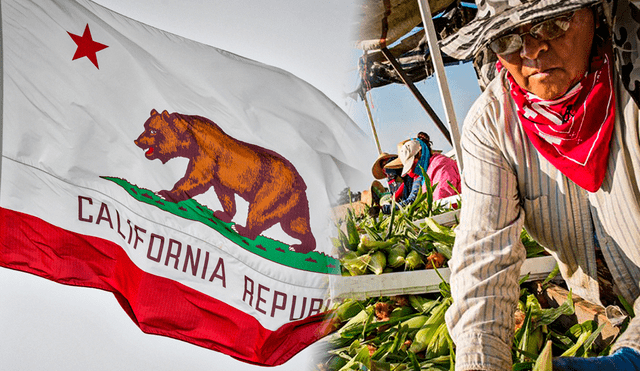 Las autoridades de California entregarán un bono de $600 a trabajadores del campo y agrícolas. Foto: composición RL/Getty Images/lacooperativa