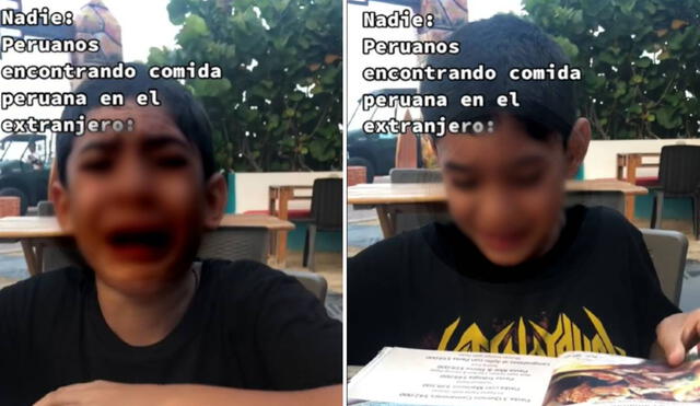 El video ha sumado más de un millón de reproducciones en TikTok. Foto: composición LR/captura de TikTok/@alanisez98