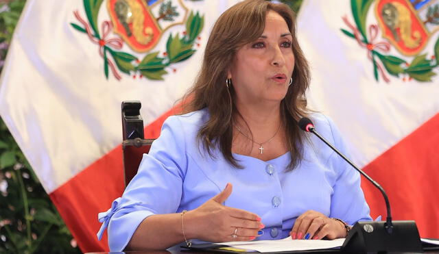 Dina Boluarte dijo que su Gobierno no permitirá más gabinetes en la sombra. Foto: Presidencia