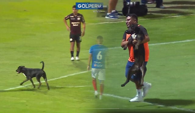 Un perro ingresó al partido de Universitario y Carlos Mannucci. Foto: captura - Video: GolPerú