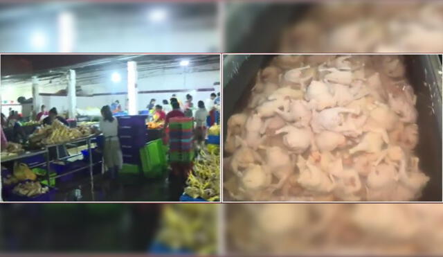 Agentes de fiscalización de la PNP no descartan que este sea el único local de venta de aves insalubres en el distrito. Foto: captura LR/ América TV